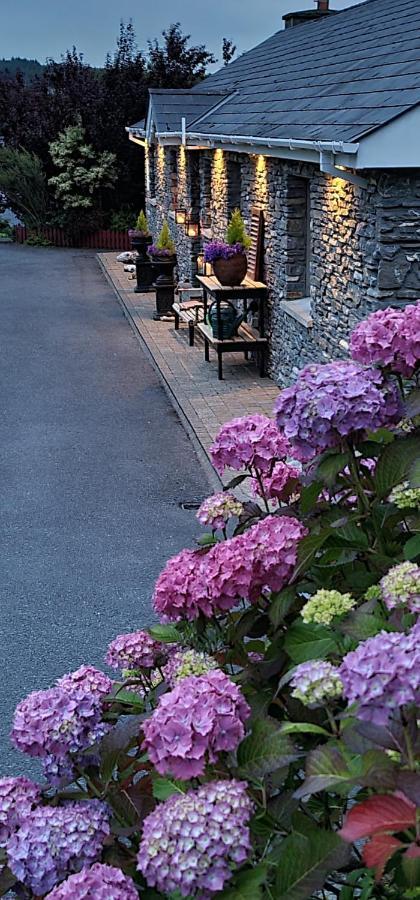 Kenmare Driftwood Bed & Breakfast Exterior foto